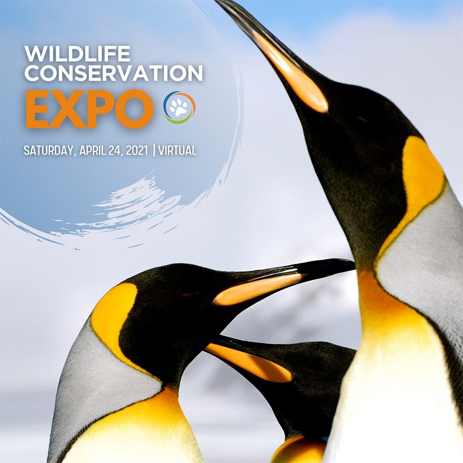 Wildlife Conservation Network Spring Expo - MarAlliance.org