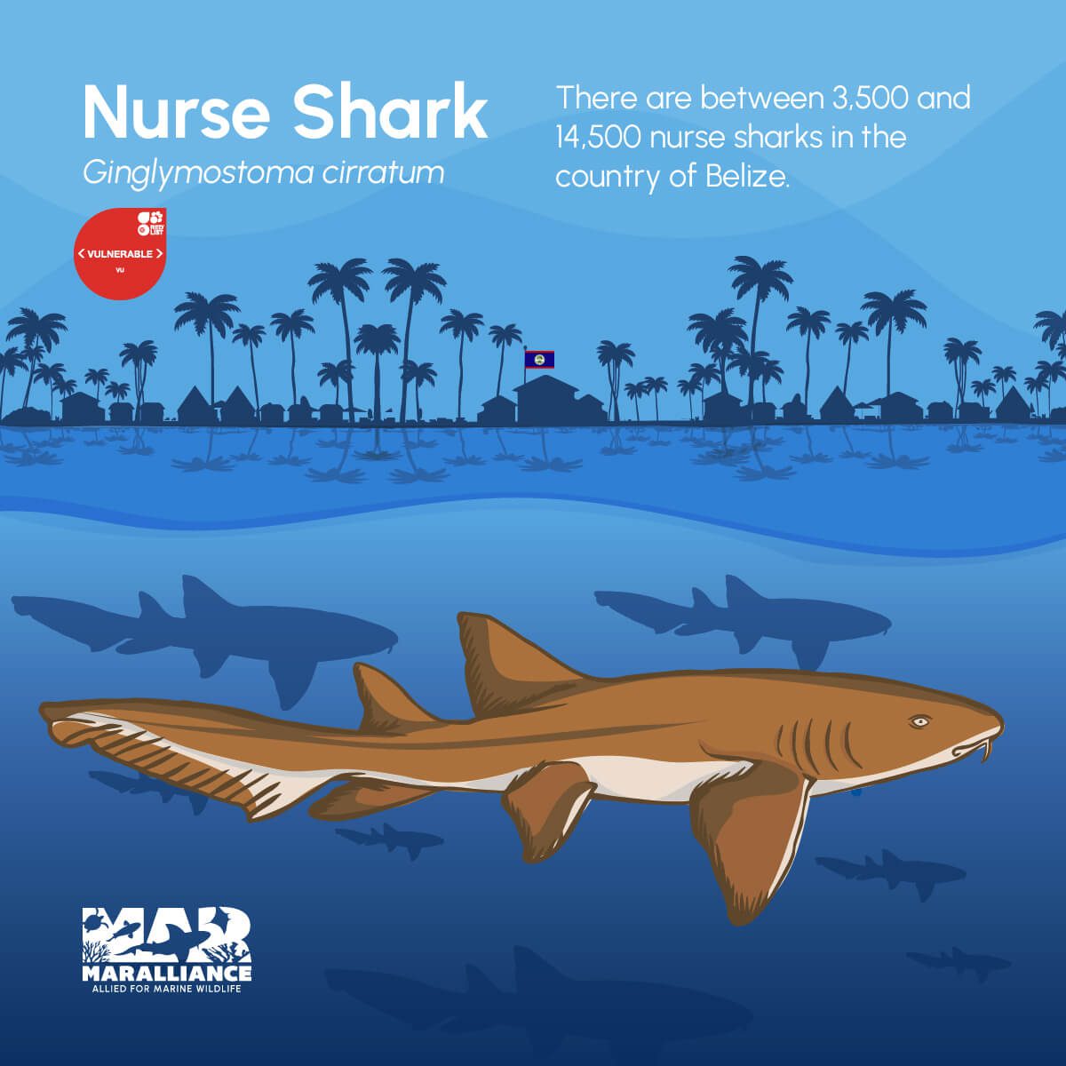 WEB_shark day_nurse shark-100