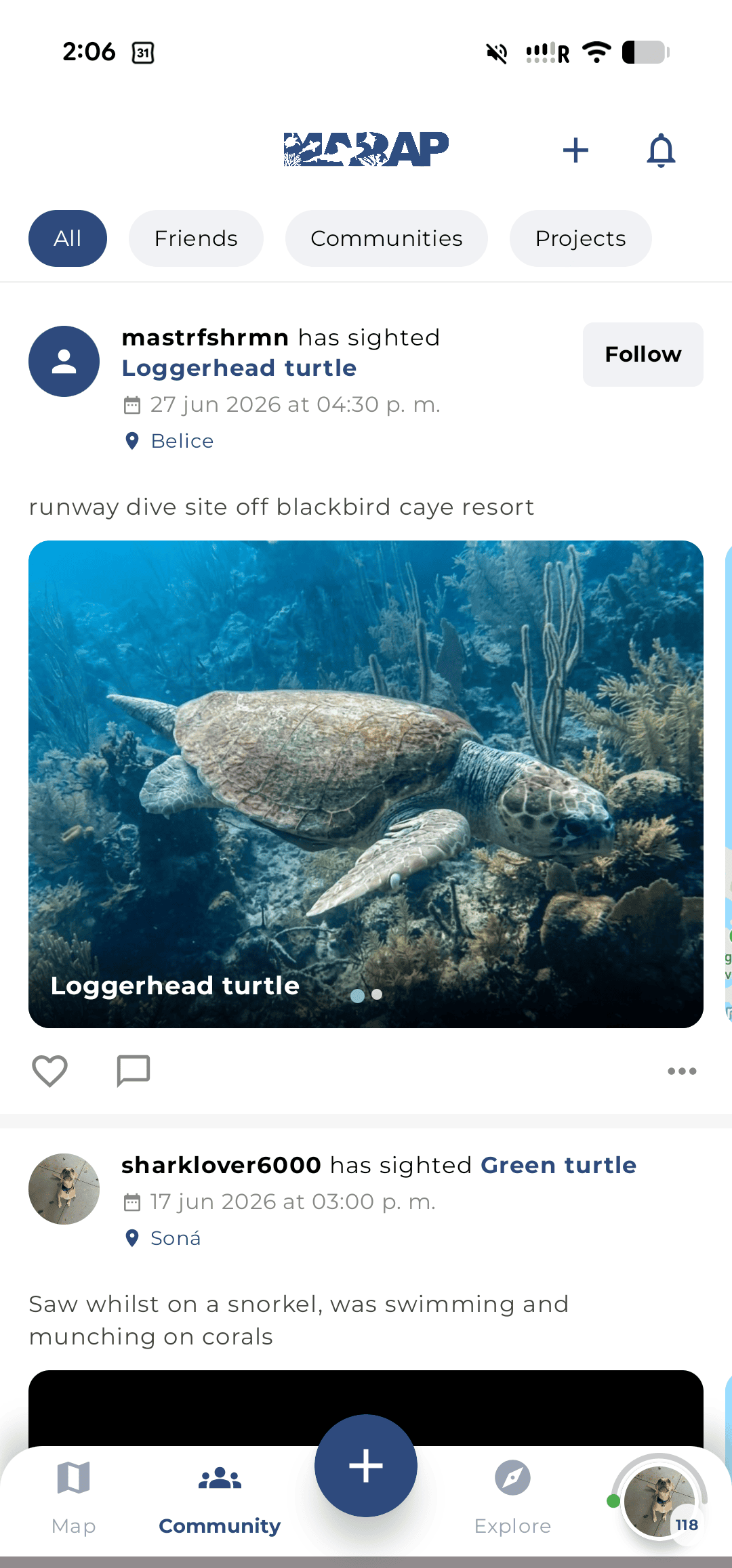MARAP community sightings feed