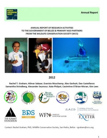 areport-belize