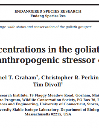 imagen_2022-10-19_104446677