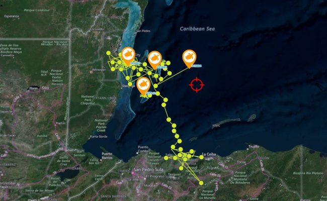 tracking-map